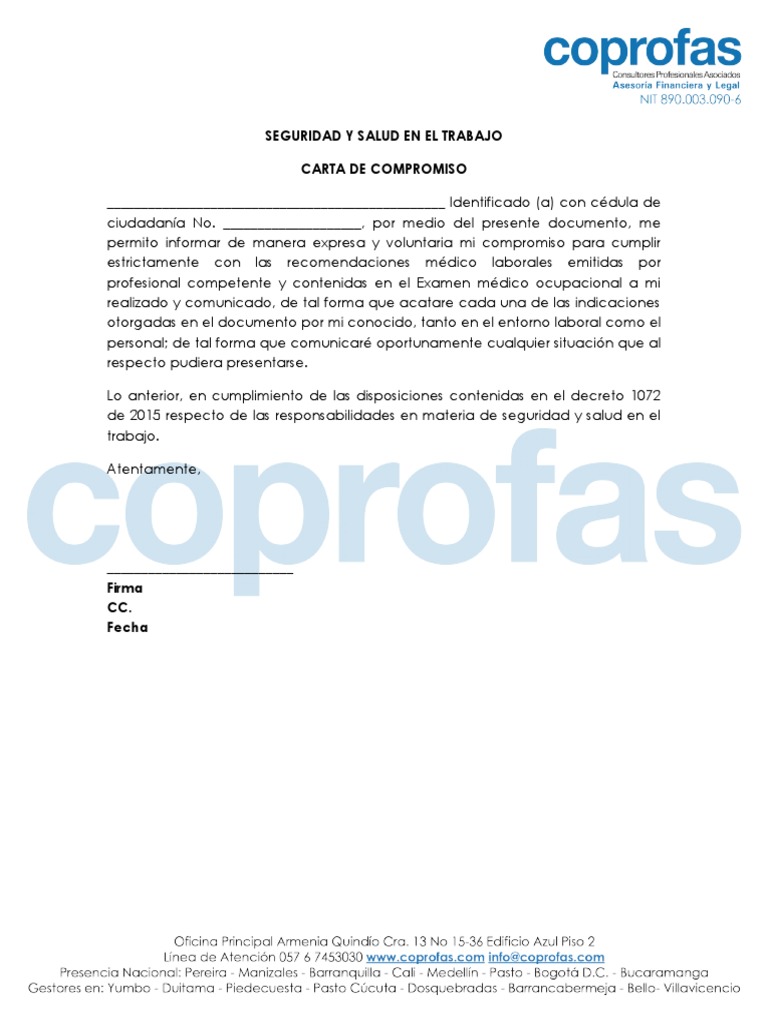 Compromiso de Seguridad Laboral | PDF | Finanzas y dinero