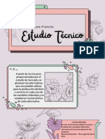 Estudio Tecnico