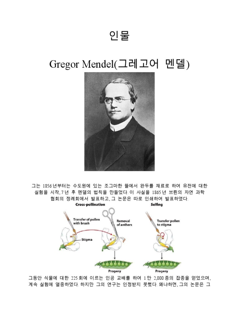 멘델의 유전법칙 | PDF