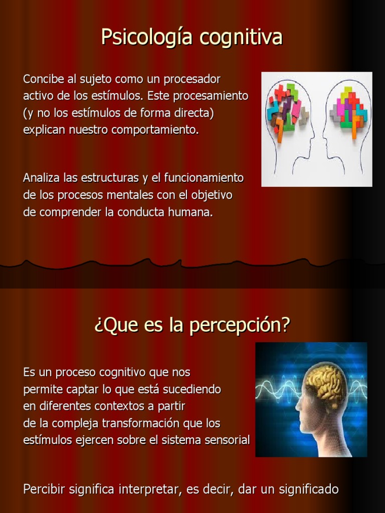 Principios De La Gestalt Pdf Percepci N Neuropsicolog A