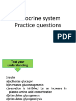Endocrine System Practice Questions PDF