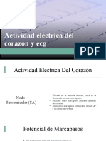 Actividad Eléctrica Del Corazón y Ecg