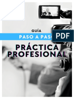 Guía Paso A Paso Práctica Profesional