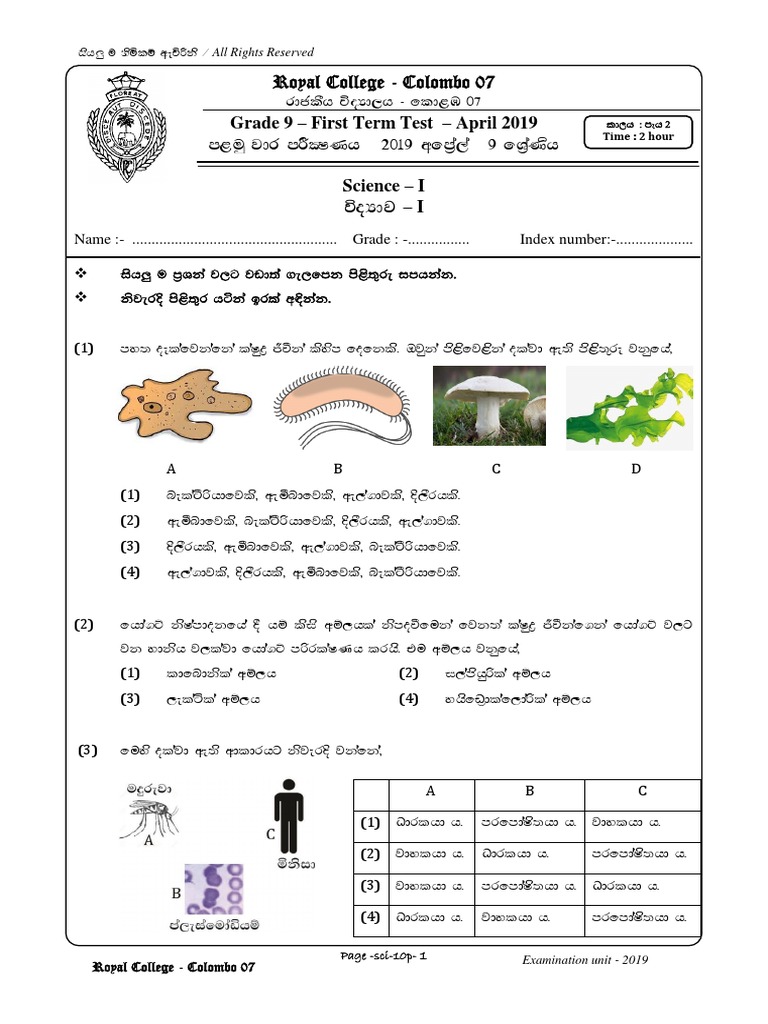 Grade 9 Science First Term Test 2019 | PDF