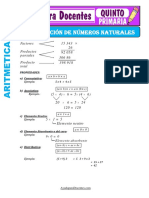 Multiplicacion de Numeros Naturales para Quinto de Primaria