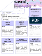 Garantias Constitucionales