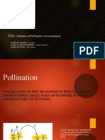 Status of Polinators in Enviroment