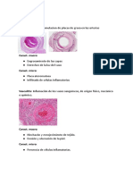 Repaso Patología