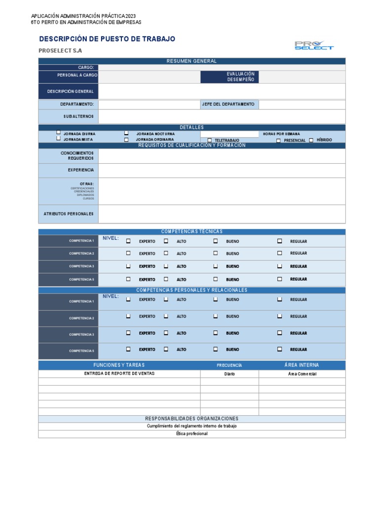Formato de Descripcion de Puestos - AAAAAAAAAAAAAAAA | PDF