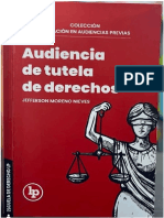 Audiencia de Tutela de Derechos (Jefferson Moreno Nieves)