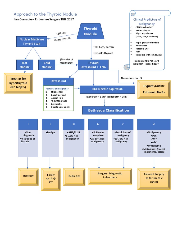 Thyroid Nodule Evaluation Algorithm | PDF