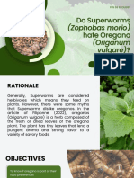 Do Superworms (Zophobas Morio) Hate Oregano (Origanum Vulgare)