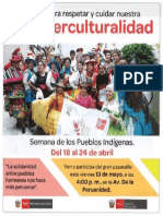 Afiche Interculturalidad