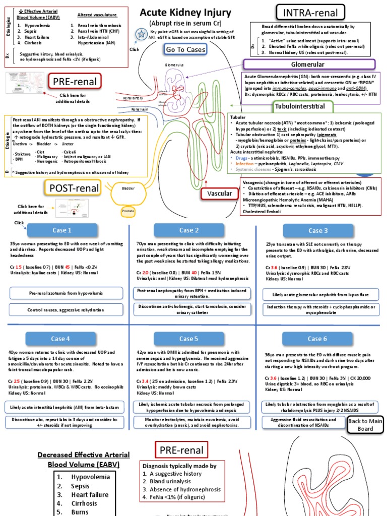 AKI Learner Board Final | PDF