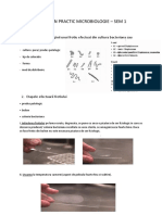 Subiecte Examen Practic