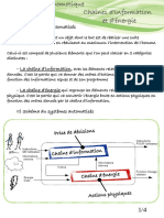 Structuration Chaine