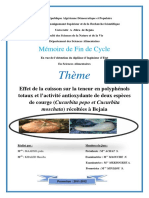 Thème: Mémoire de Fin de Cycle