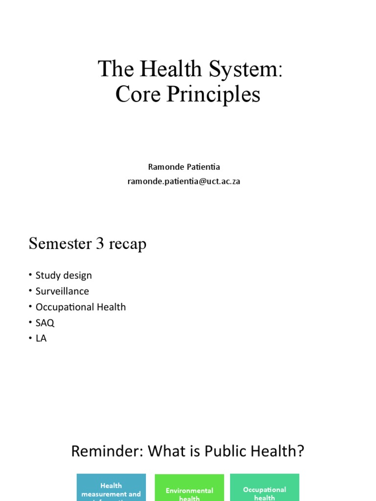 Overview of South Africa's Health System | PDF | Preventive Healthcare ...