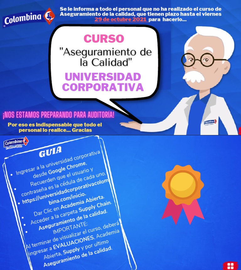 Curso Aseguramiento de La Calidad | PDF