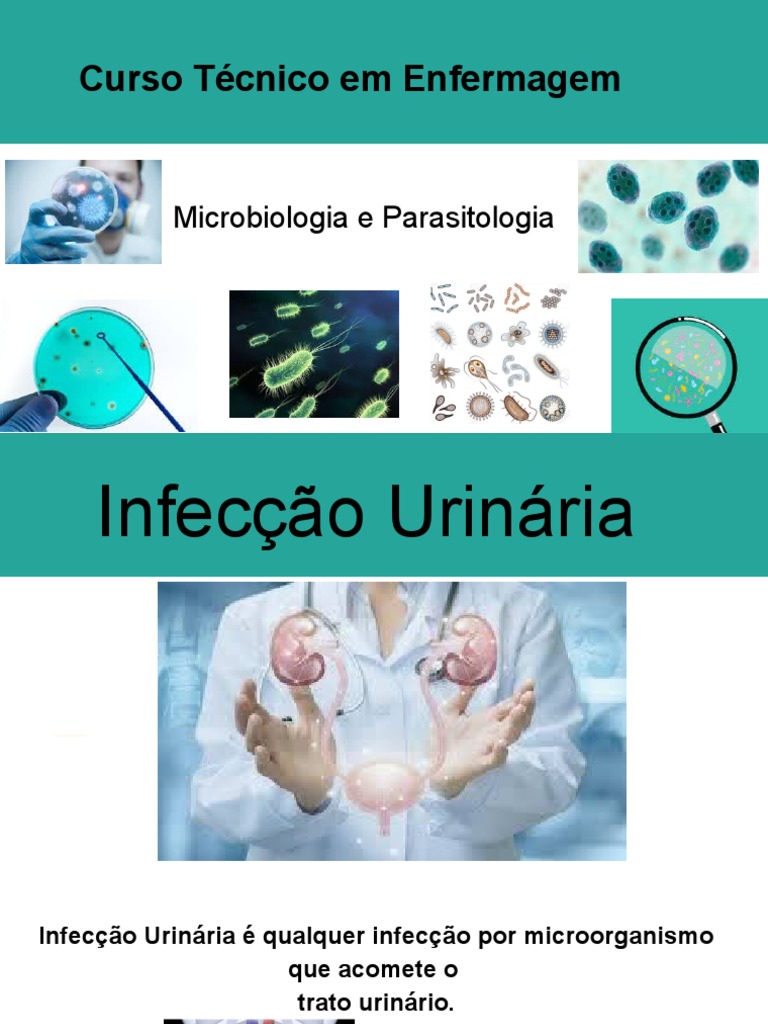 Infecção Urinária | PDF | Infecção do trato urinário | Escherichia Coli