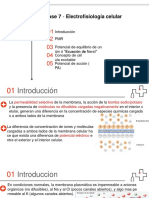 ELECTROFISIOCELULAR