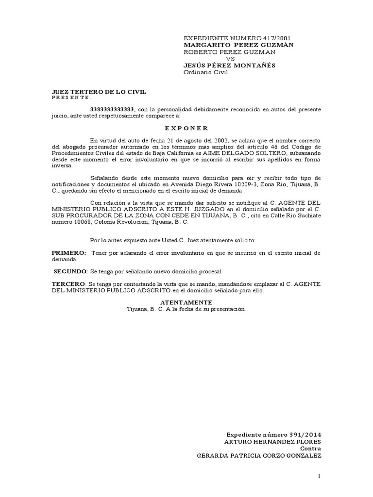 Vistas Desahogar | PDF