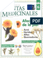 Plantas Medicinales Fasciculo 6 Nett 1997