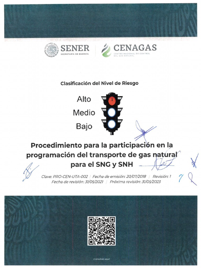 Participación en La Programación Del Transporte de Gas Natural para El ...