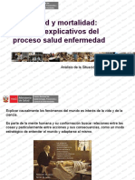 CT2 - Morbilidad y Mortalidad - Modelos Explicativos Del Proceso Salud Enfermedad (Antonieta Figueroa Ramos)