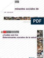 CT3 - Los Determinantes Sociales de La Salud (a. Oyola)