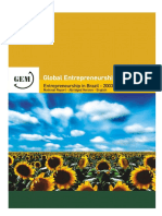 Empreendedorismo No Brasil GEM 2003