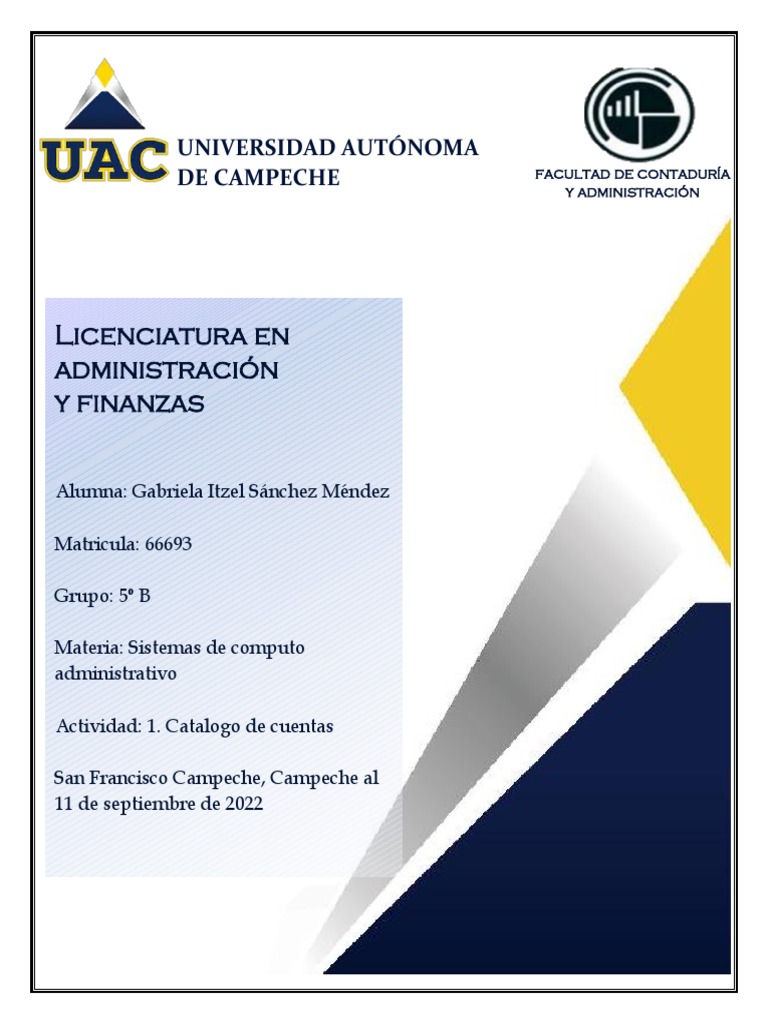 Catálogo de Cuentas en Contabilidad | PDF | Contabilidad | Business