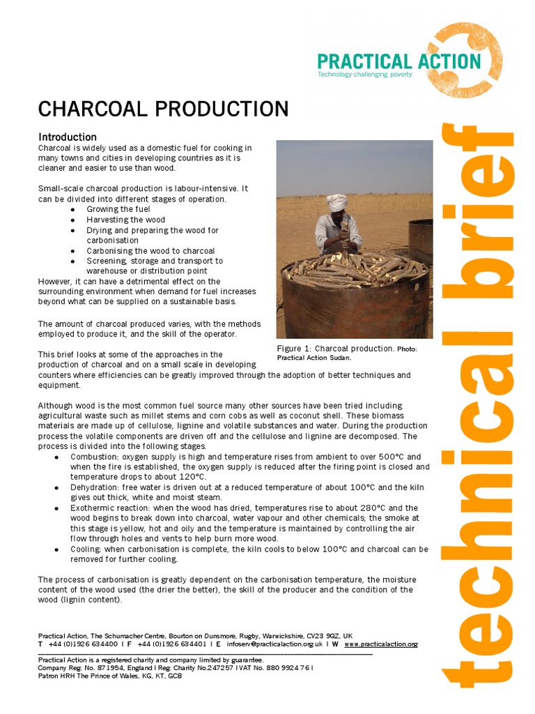 UNDERSTANDING CHARCOAL USES AND PRODUCTION EXPLAINED intelligence overview