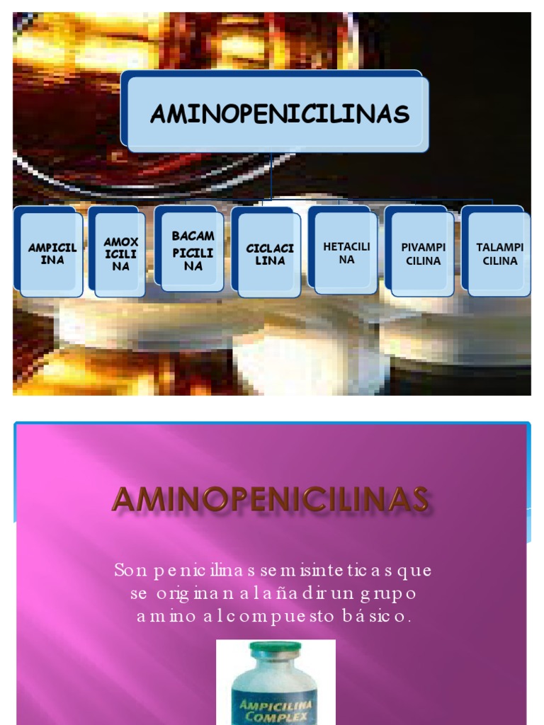 5 Aminopenicilinas PDF