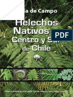 Rodriguez-Alarcon-Espejo.2009.Helechos_Nativos_Centro_Sur_Chile