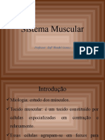 Aula 4 - Sistema Muscular