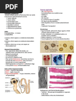 Cestodes Classification and Identification | PDF | Parasitology ...