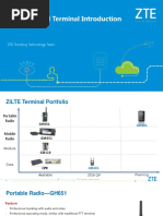 ZLT P11 LTE Outdoor CPE Specifications | PDF | Ieee 802.11 | Wi Fi