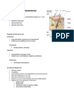 CE 02B LS 04 Skript Anatomie Der Haut