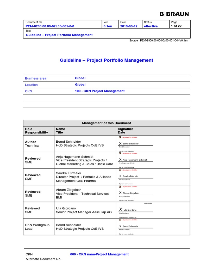 Guideline Project Portfolio Management PDF