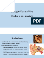 Urechea-Structura - Biologie Clasa A VII-a