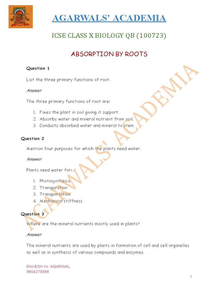 Icse Class 10 Biology Absorption by Roots Question Bank | PDF