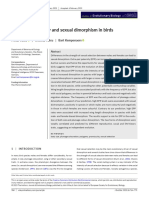 Valcu. Extra Pair Paternity and Sexual Dimorphism in Birds