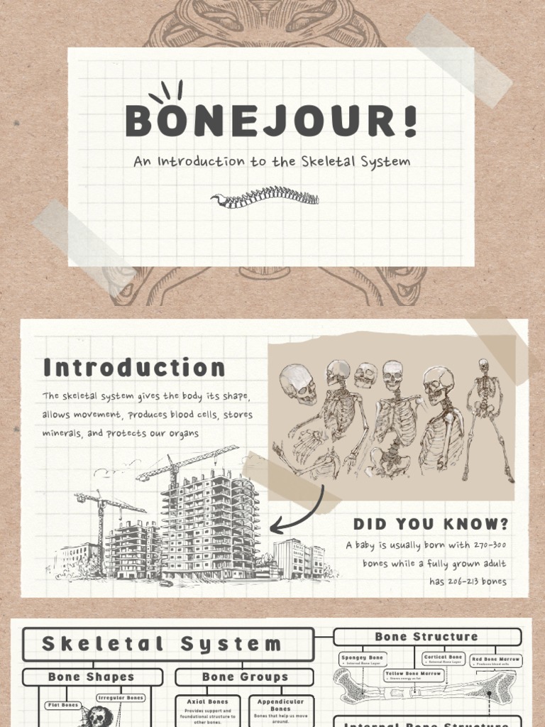SKELETAL SYSTEM Power Point Presentation PDF Bone Medical
