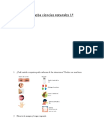 Prueba Ciencias Naturales 1º Basico