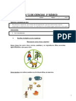 Guia de Ciencias Nº2 Primero Básico