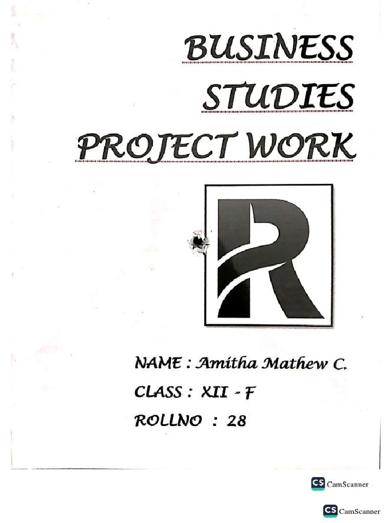 Business Project Sample | PDF