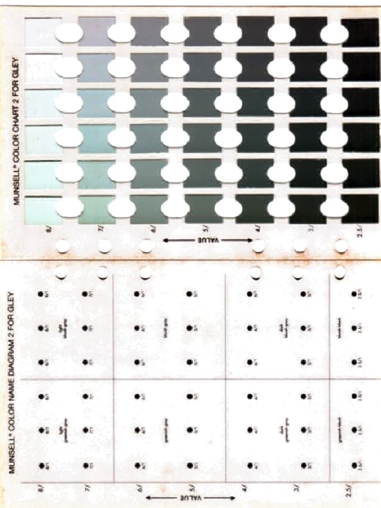 Munsell Soil Color Chart for Gley | PDF | Hue | Lighting