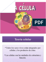 CÉLULA