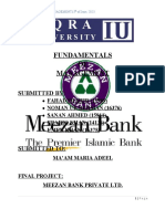 Meezan Final Report Management